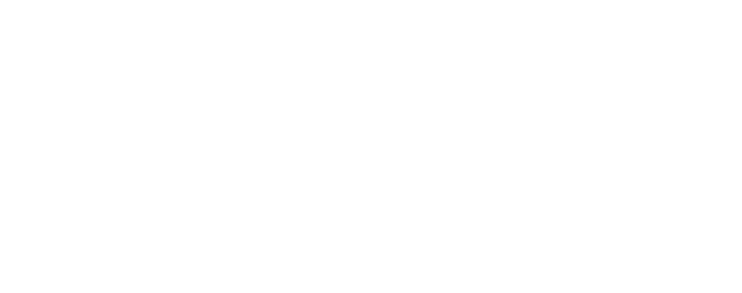 ADINA